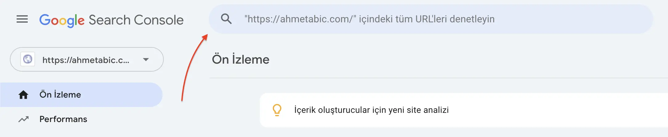sitem indexlendi mi? nasıl kontrol edebilirim?