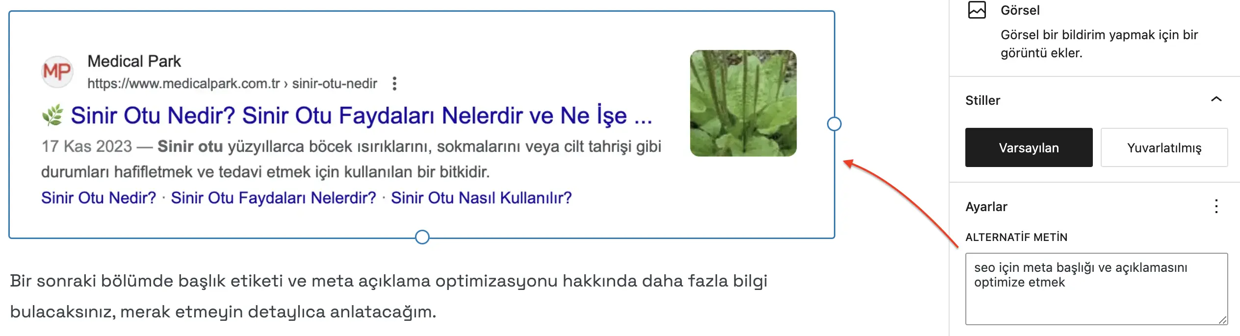 Görsel alt metni optimizasyonu