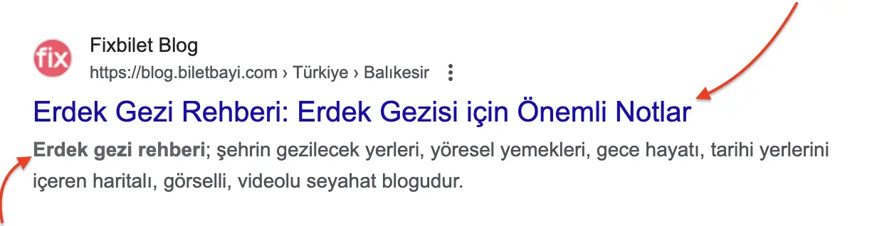 bir web sayfasının meta başlığı ve açıklama yazısı Google'da nasıl görünür