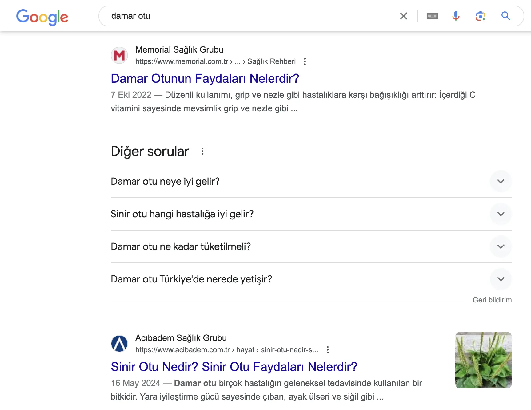 google'da arama niyetnin farklılık göstermesi