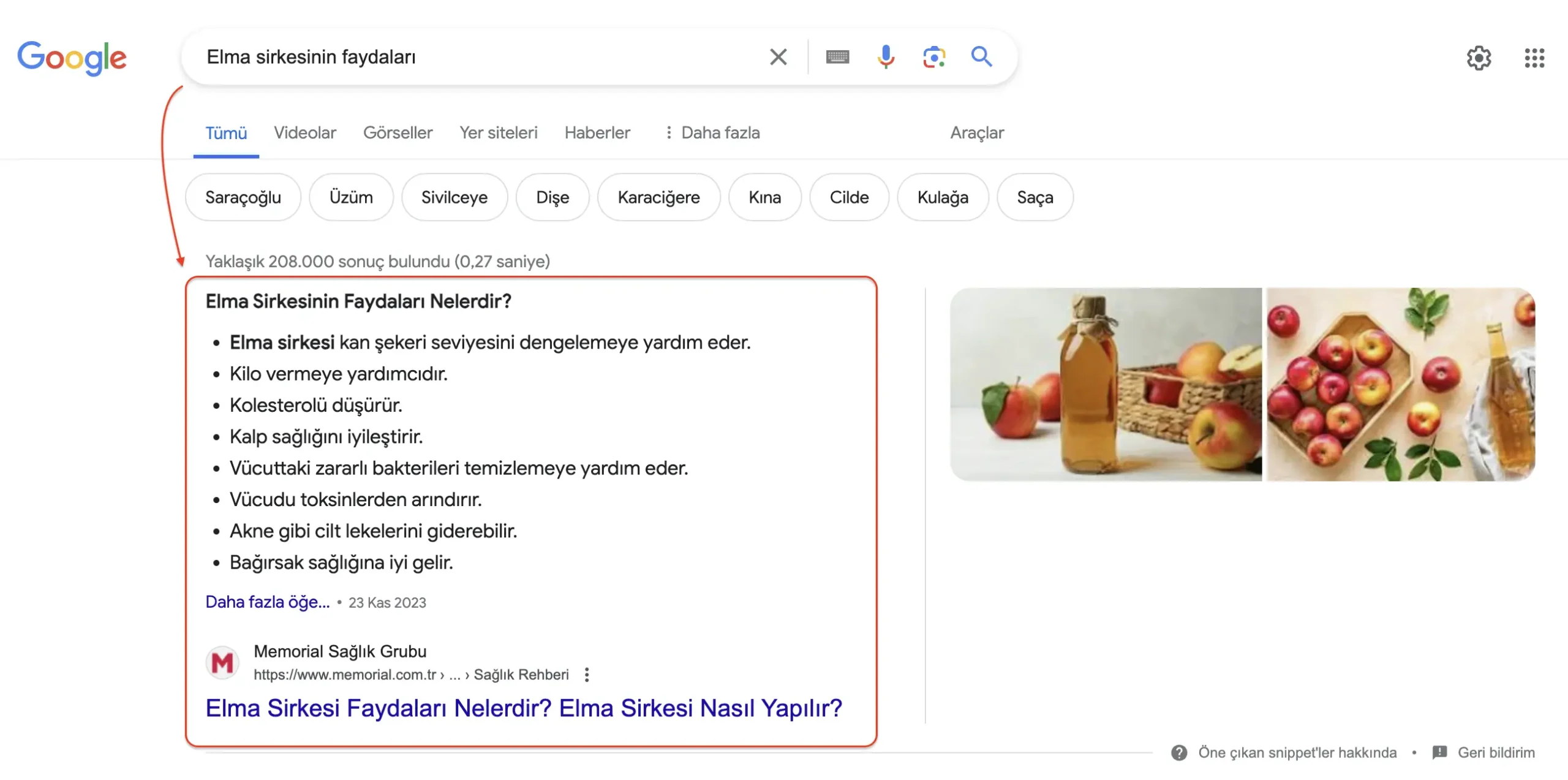 google'da öne çıkan snippet nasıl görünür
