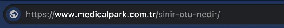 seo dostu url yapısı