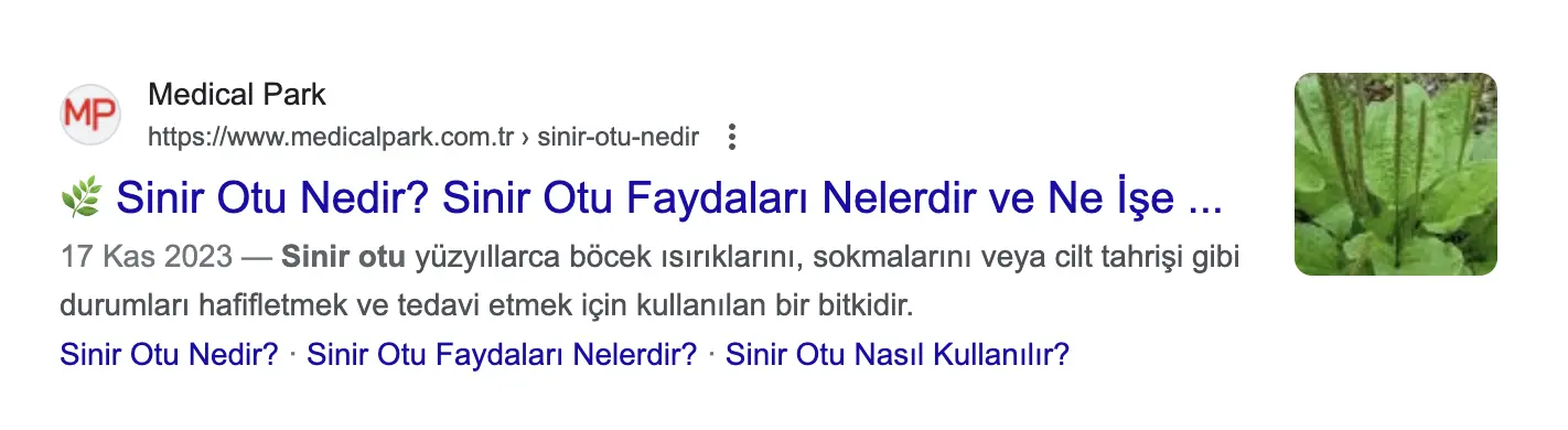 seo için meta başlığı ve açıklamasını optimize etmek