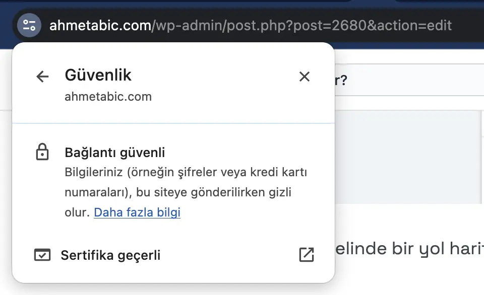 sitenin https olduğu nasıl anlaşılır
