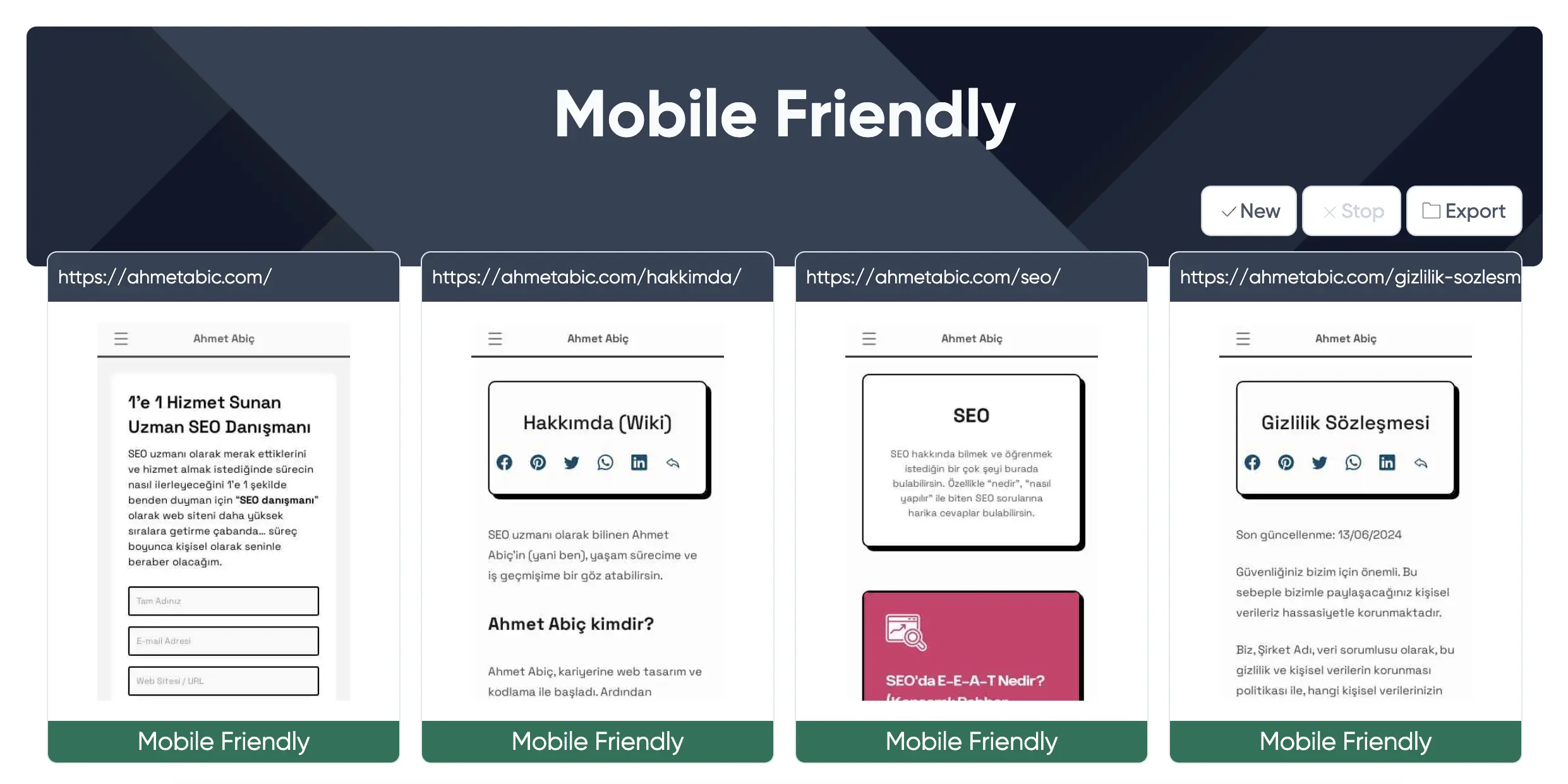 EXPERTE SEO mobil uyumluluk test aracı