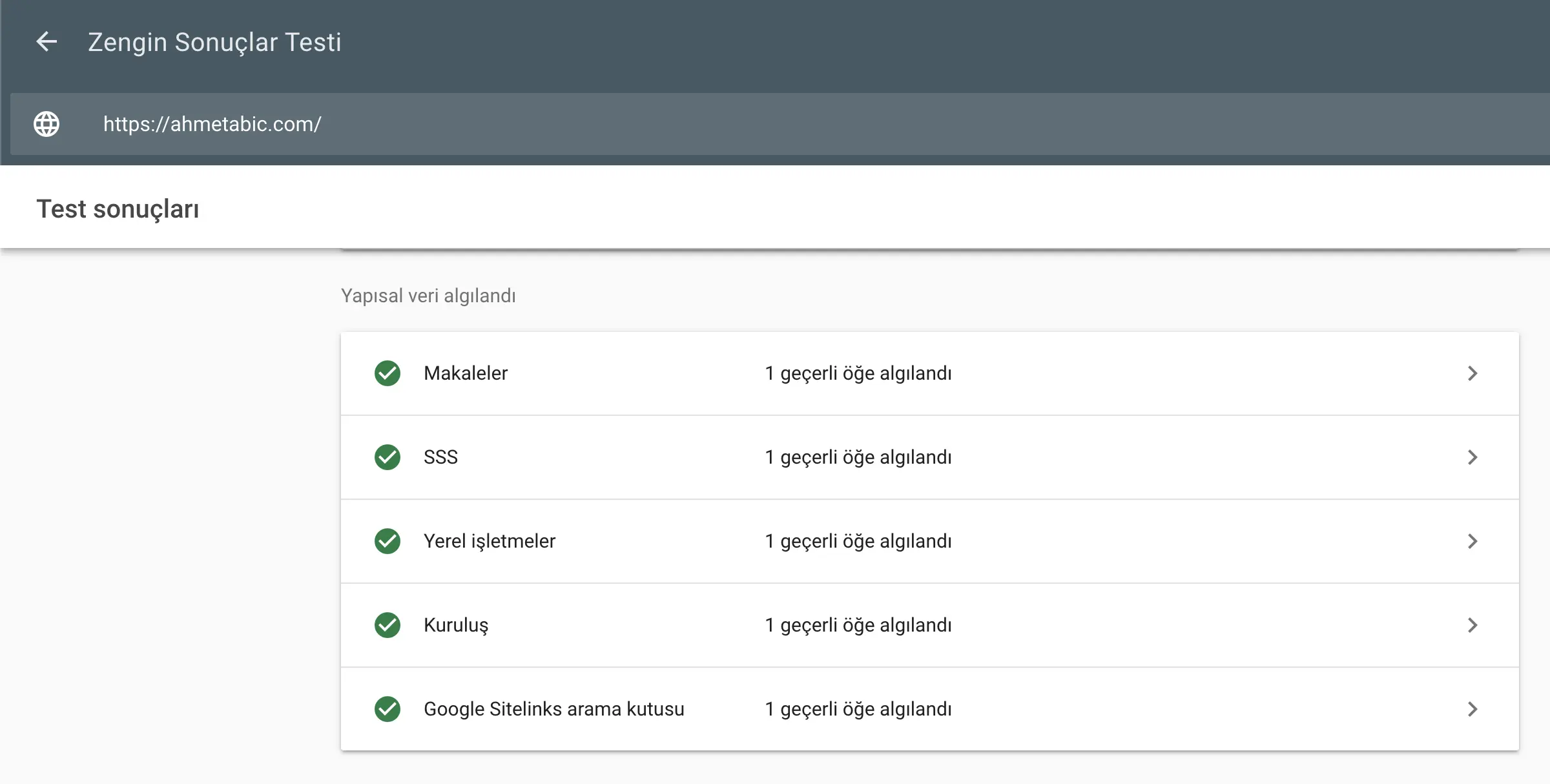 Google zengin sonuçlar testi