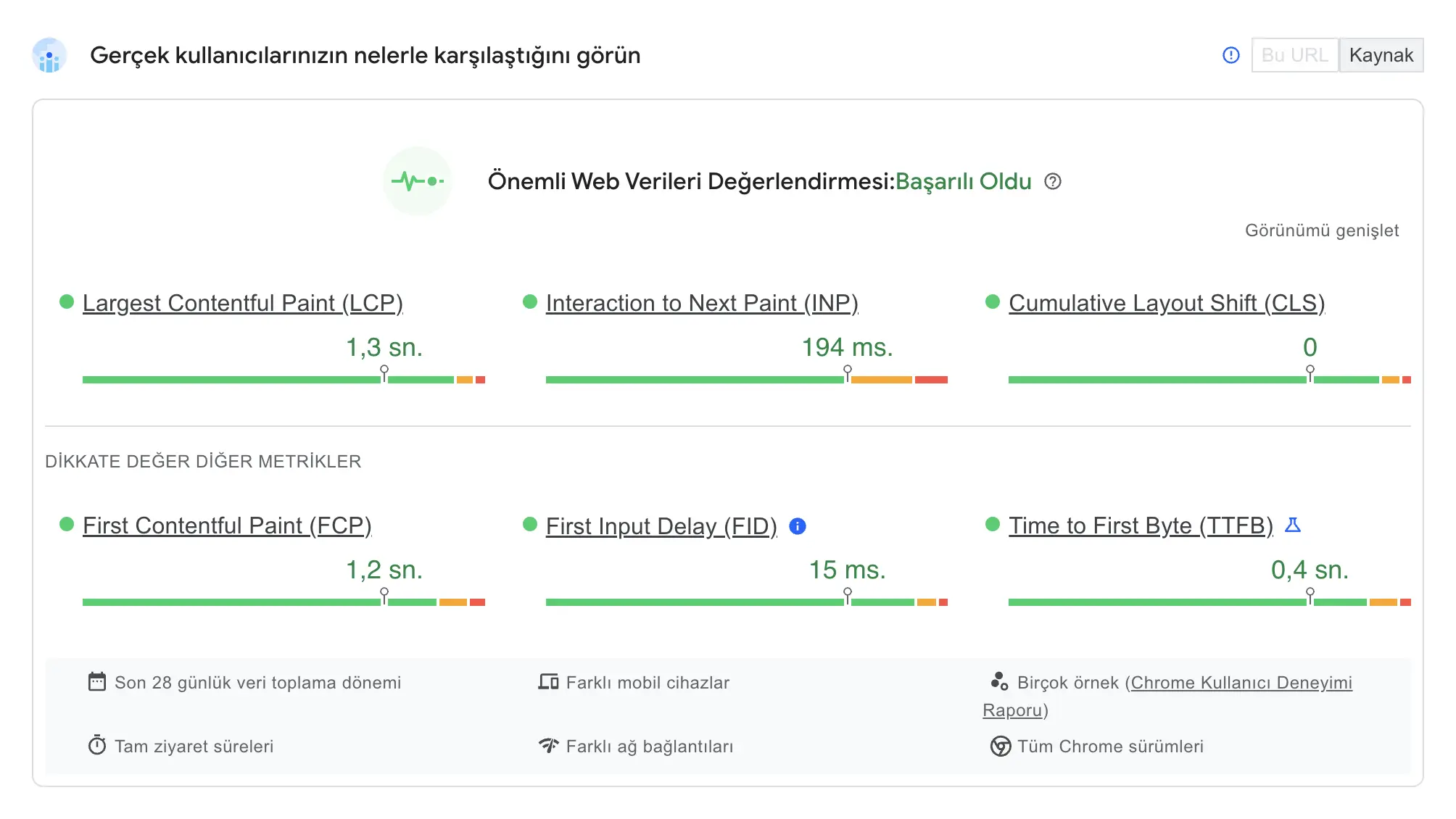 Core Web Vitals başarılı test sonucu nasıl gözükür