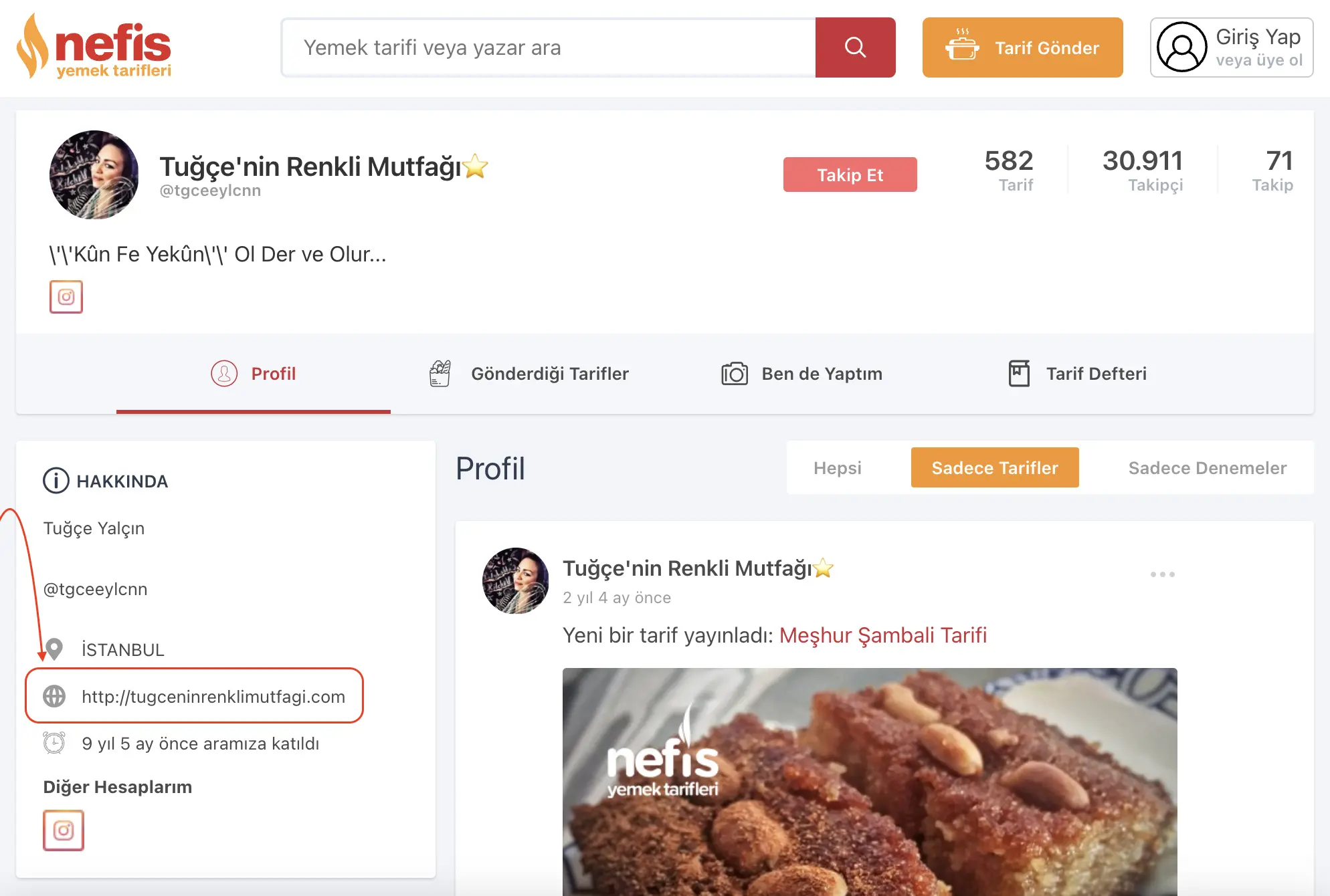 sitemin konusu ile ilgili backlink alırsam ne gibi faydalar görebilirim