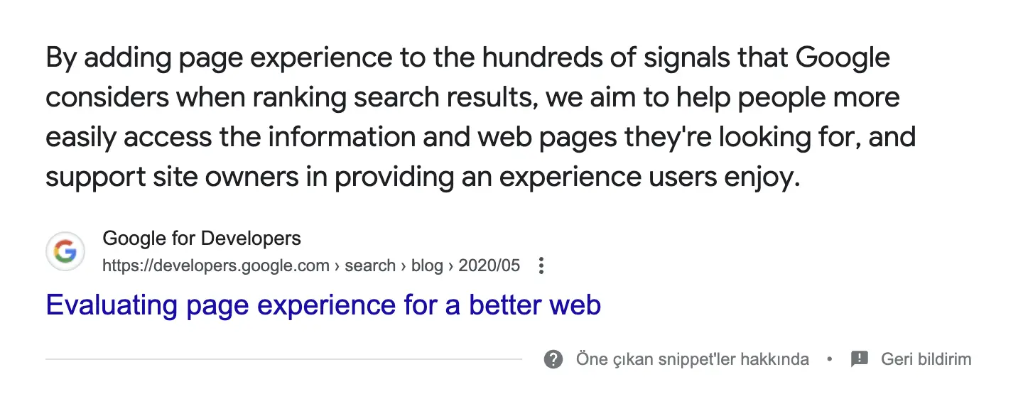 web sayfalarının kullanılabilirliği google için önemli mi?
