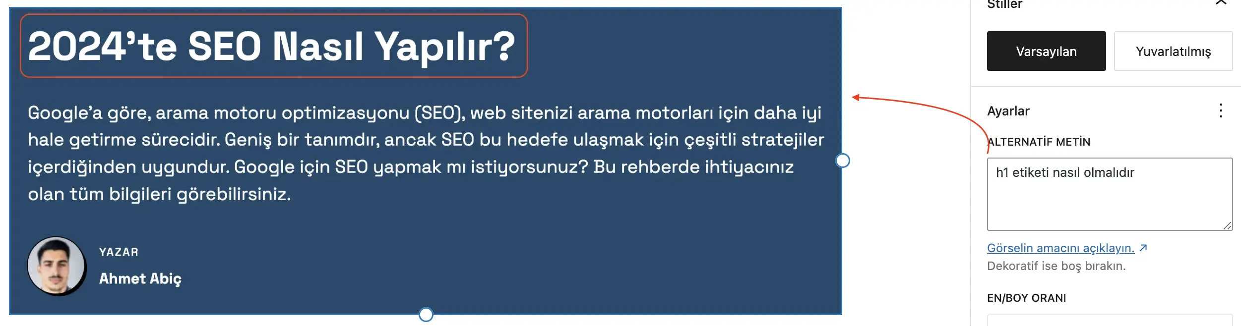 wordpresste alt etiketi nasıl eklenir