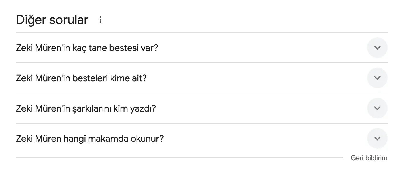 People also ask alanı google