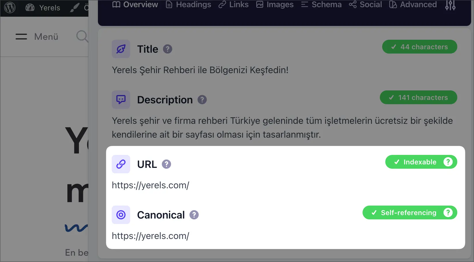 canonical etiketleri