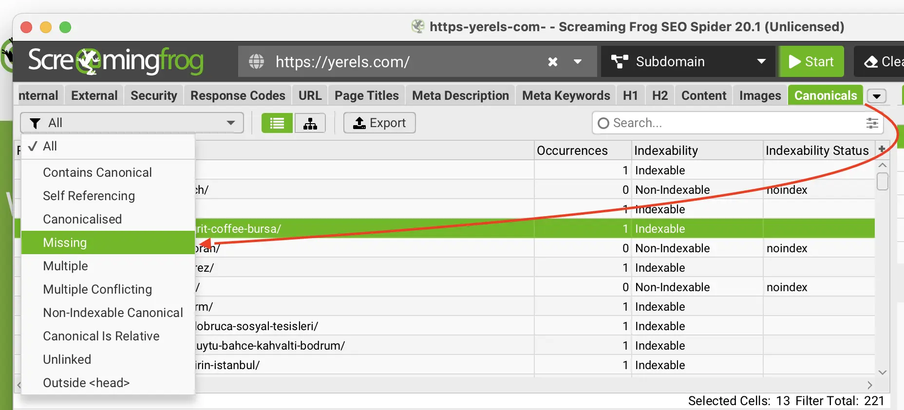 screaming frog ile Canonicalizasyon denetimi