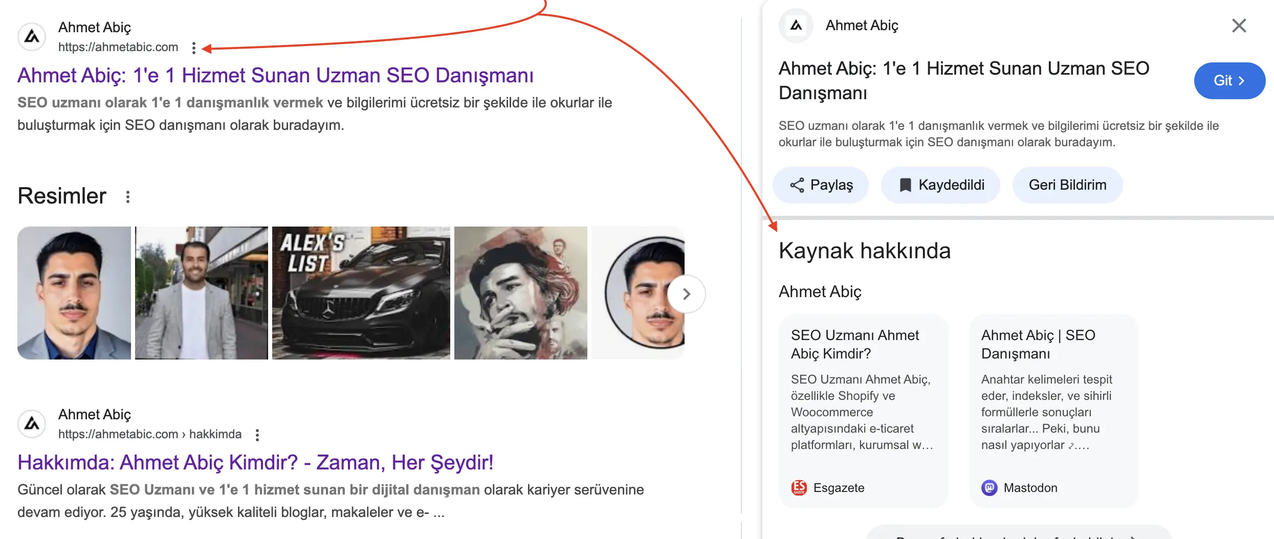 google bilgi paneli için seo yapmak