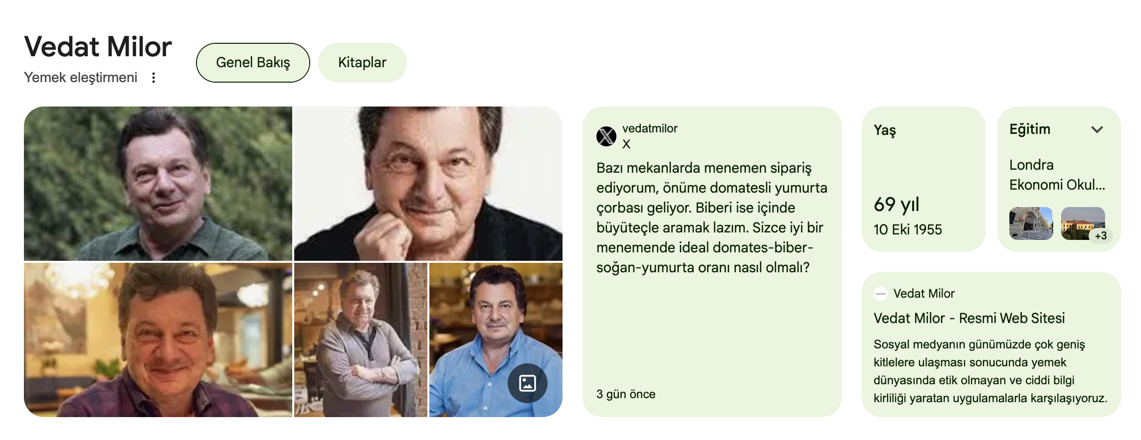 Google bilgi paneli
