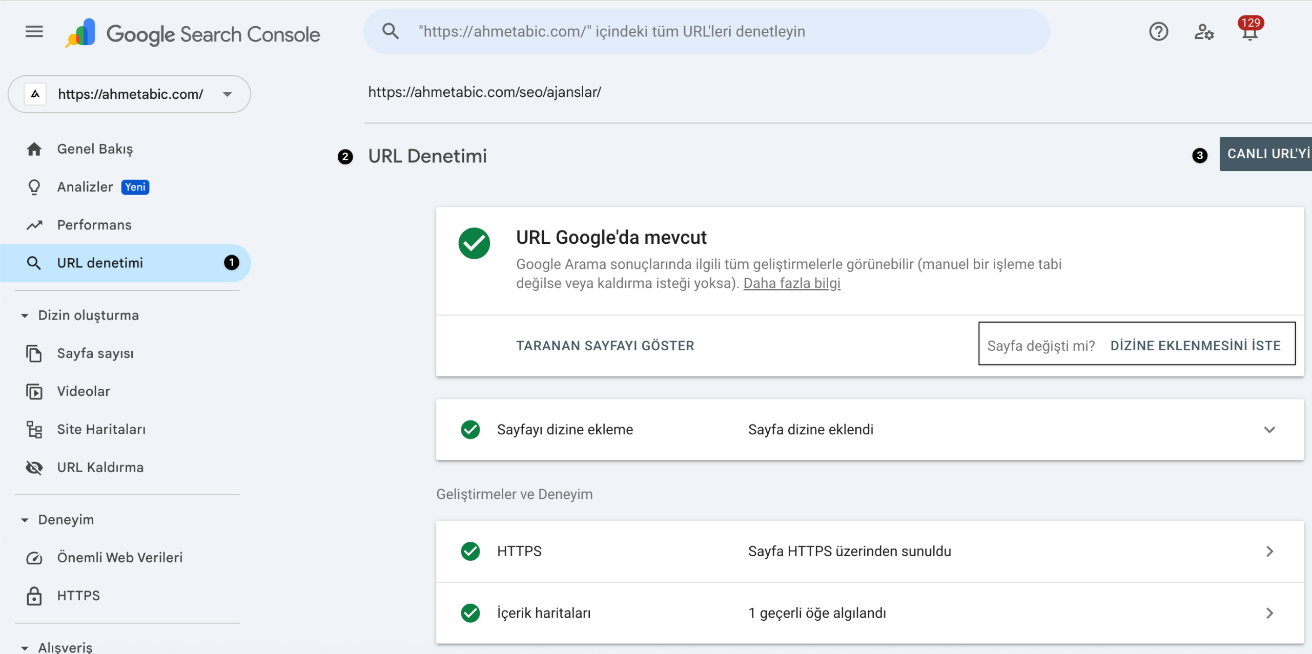 URL Denetleme Aracı