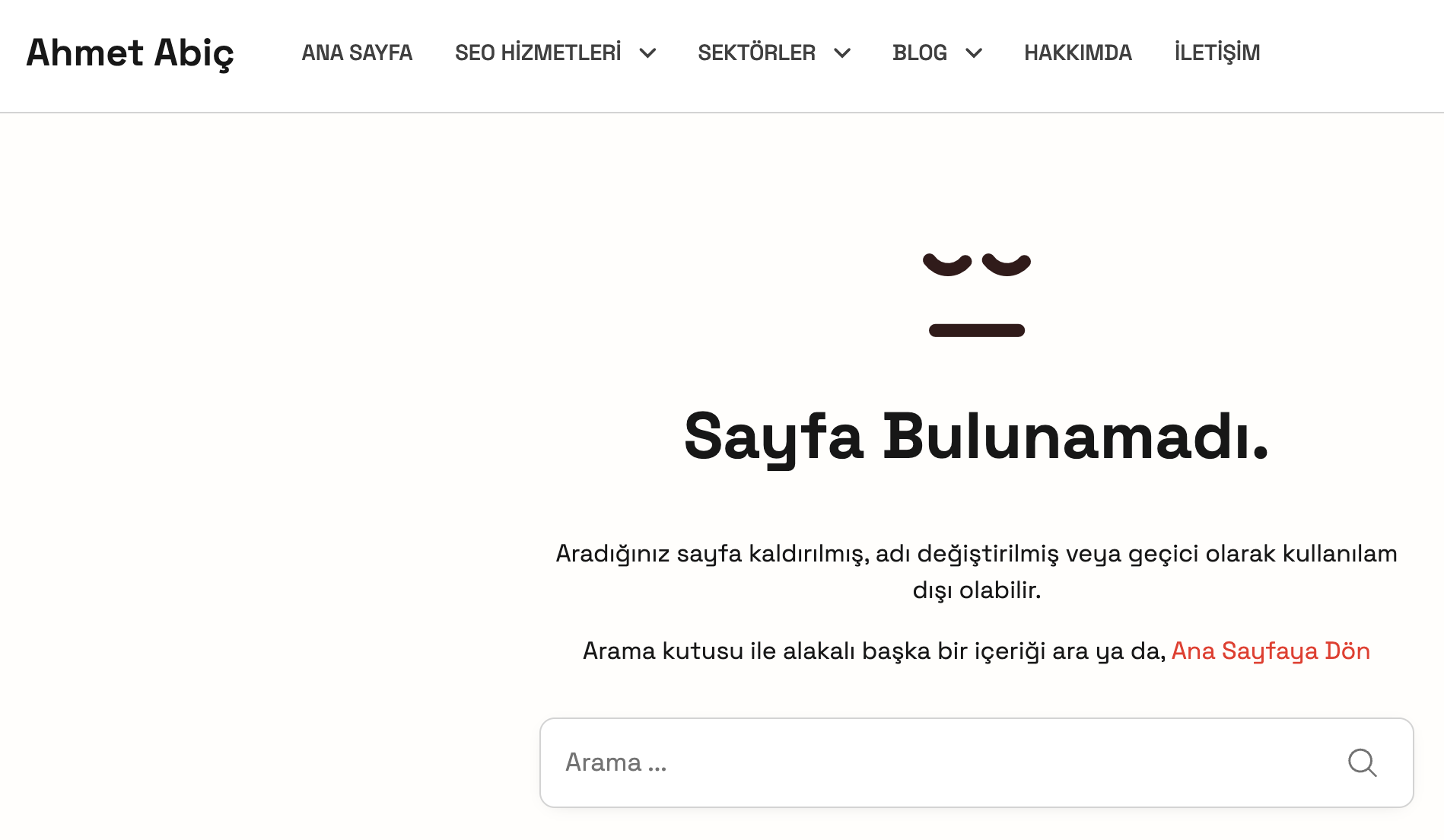 özel 404 sayfası